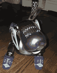 A black robot dog with white floppy ears, wagging its tail and wearing blue snowflake socks.
