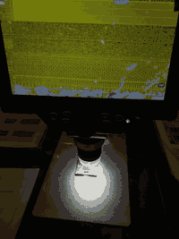 A digital microscope zoomed on a processor die with a yellow tint.